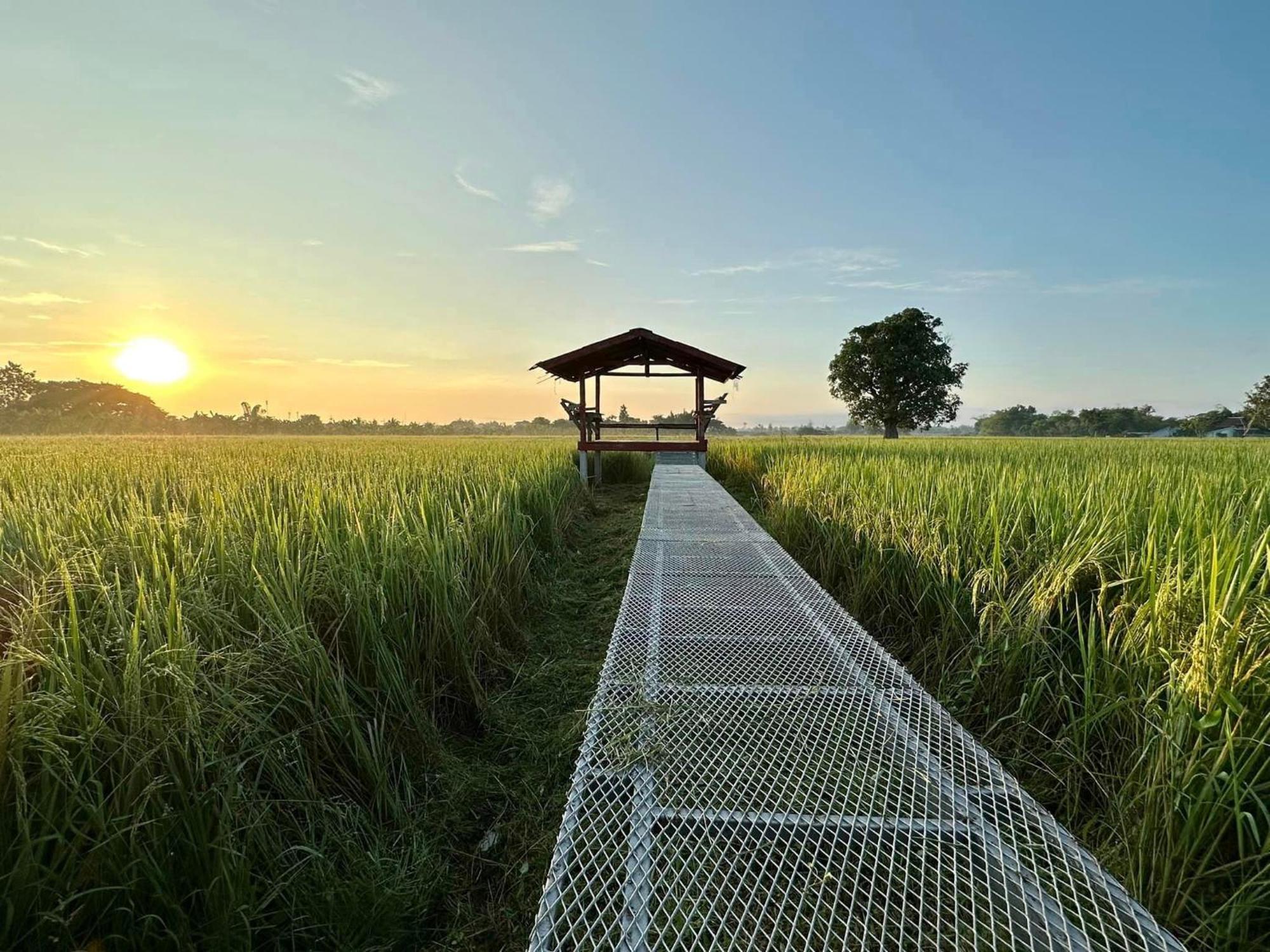 Phanumas Resort Чиангмай Экстерьер фото